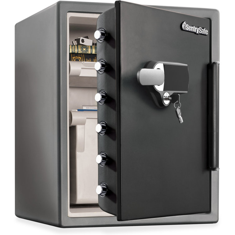 SentrySafe Digital Security Safe with DualLock Wayfair